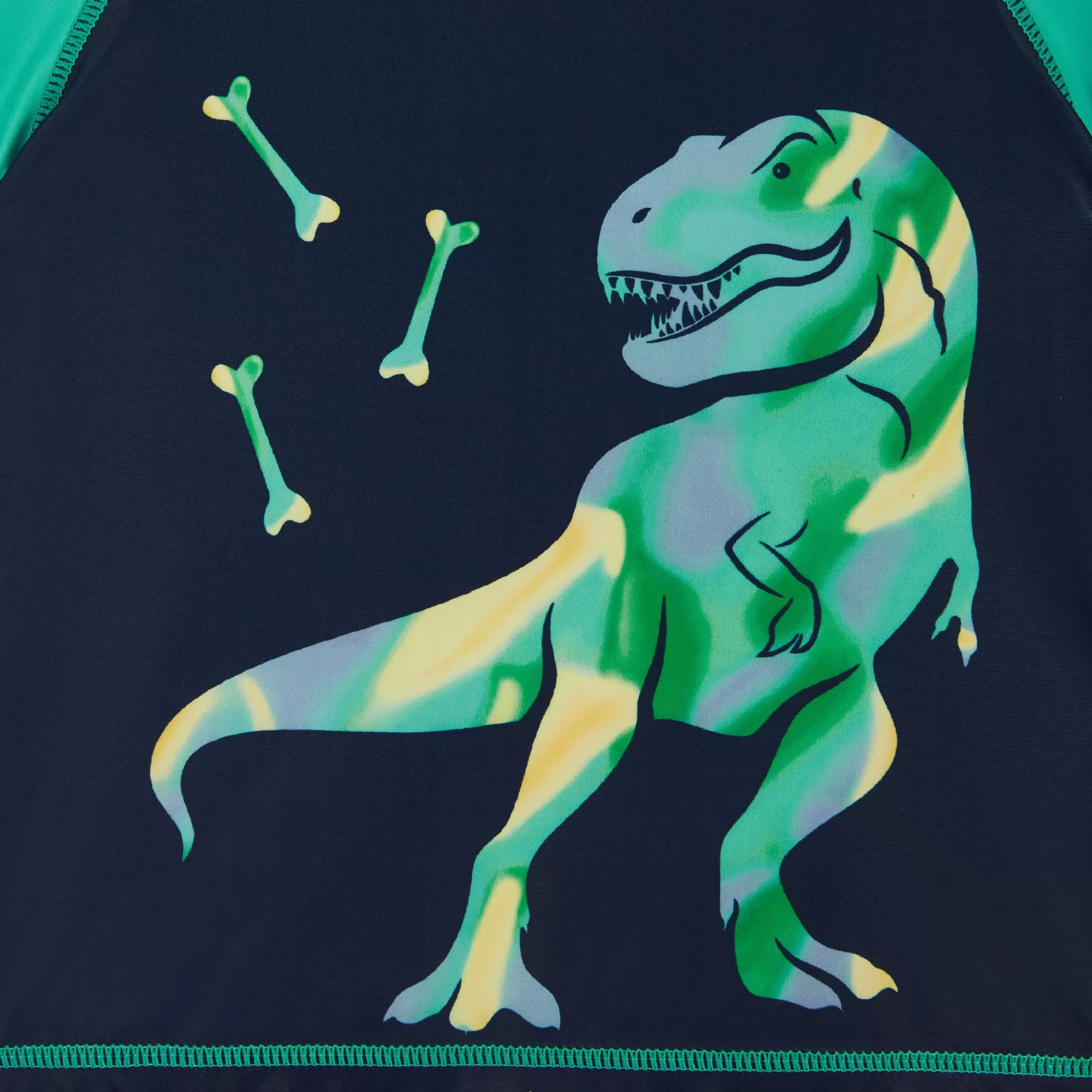 Raglan Rashguard and Boardshort | Dinosaur Graphic